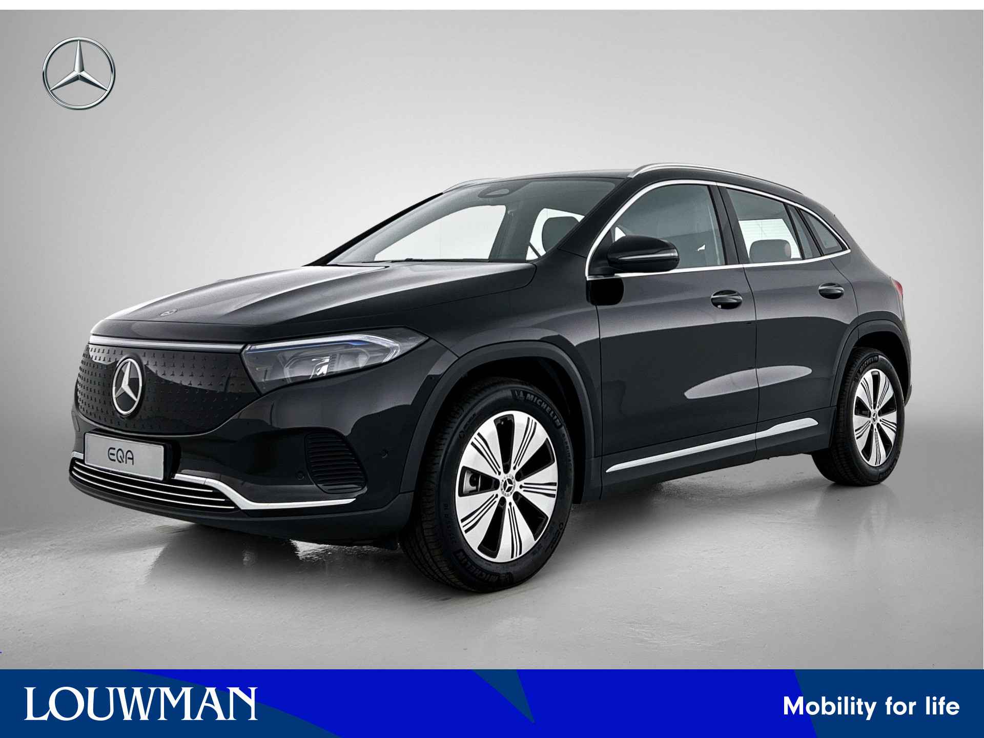 Mercedes-Benz EQA EQA 250+ Business Solution