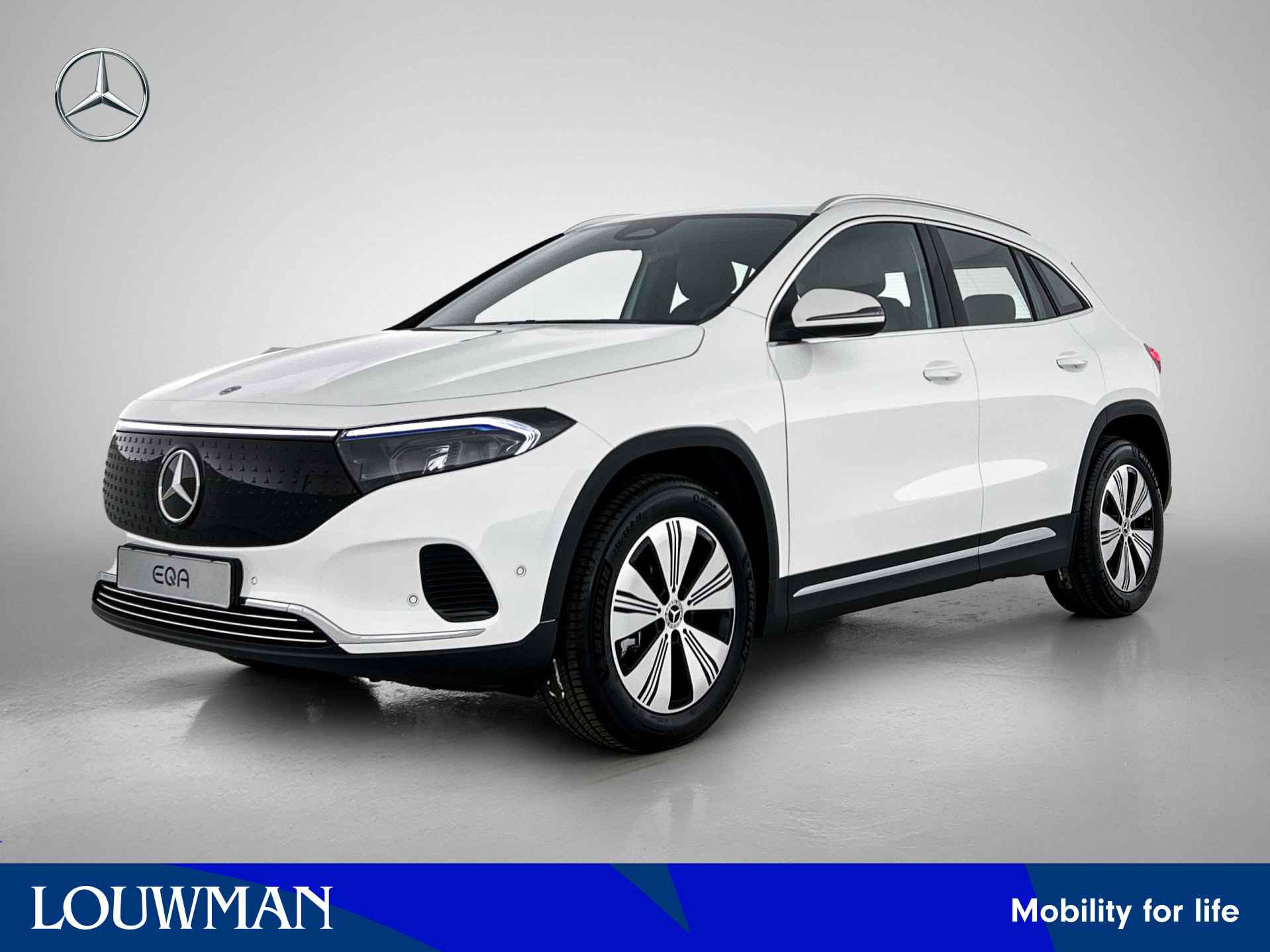 Mercedes-Benz EQA EQA 250+ Business Solution