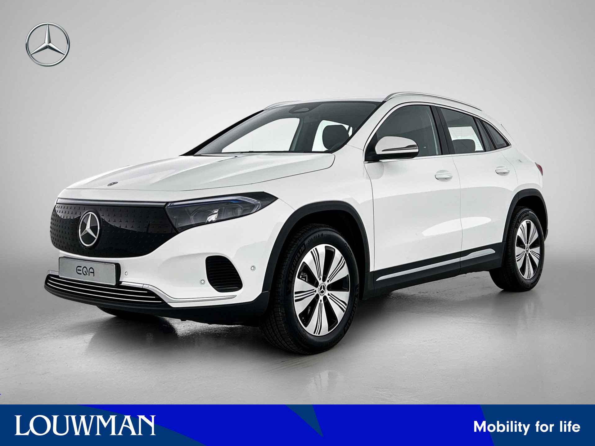 Mercedes-Benz EQA EQA 250+ Business Solution