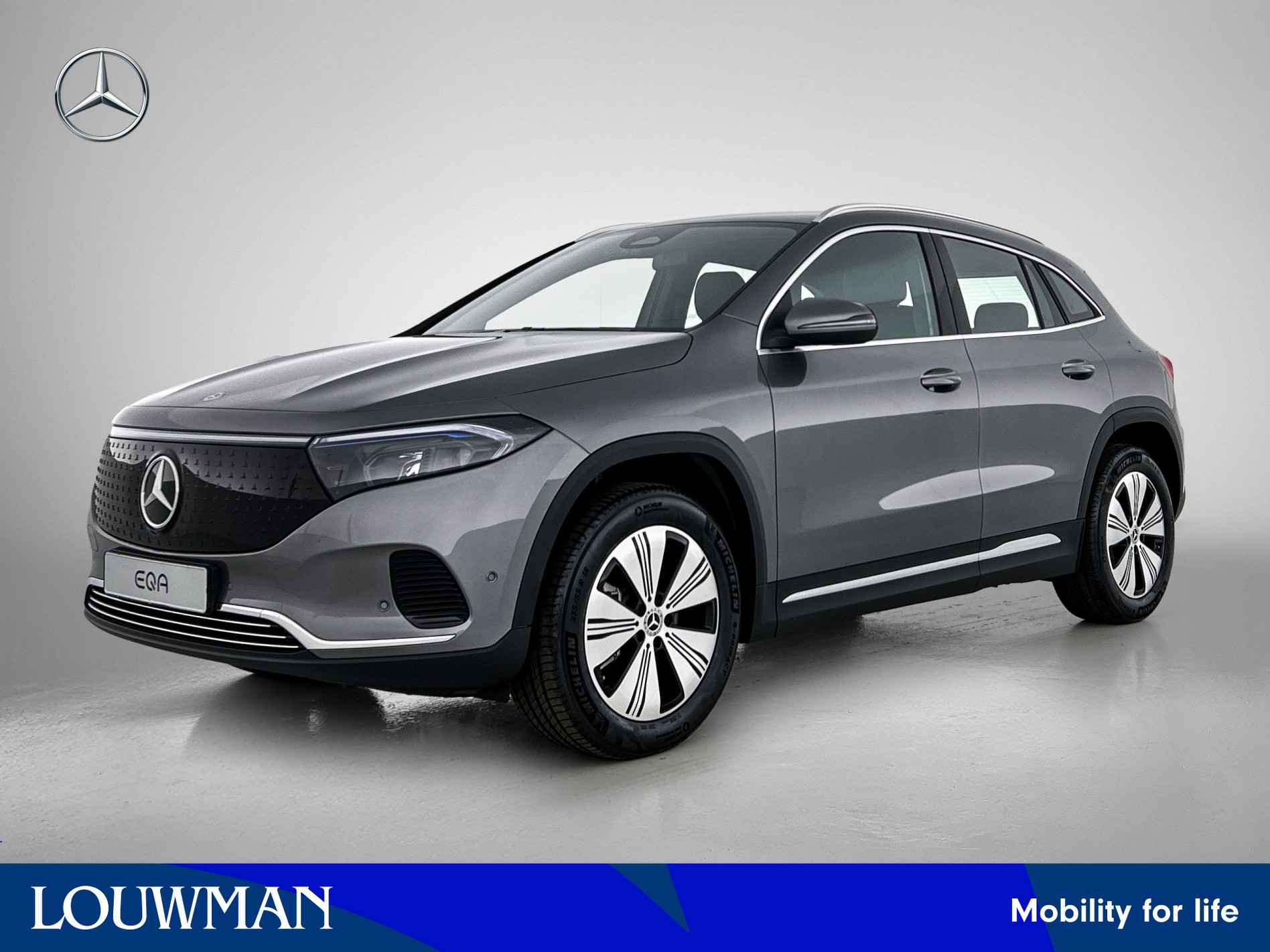 Mercedes-Benz EQA EQA 250+ Business Solution